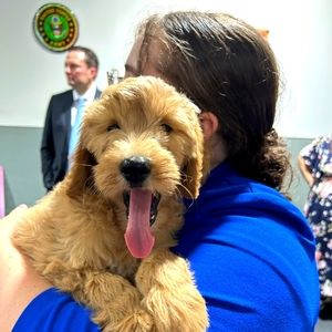 Meet your Posher, Lillian